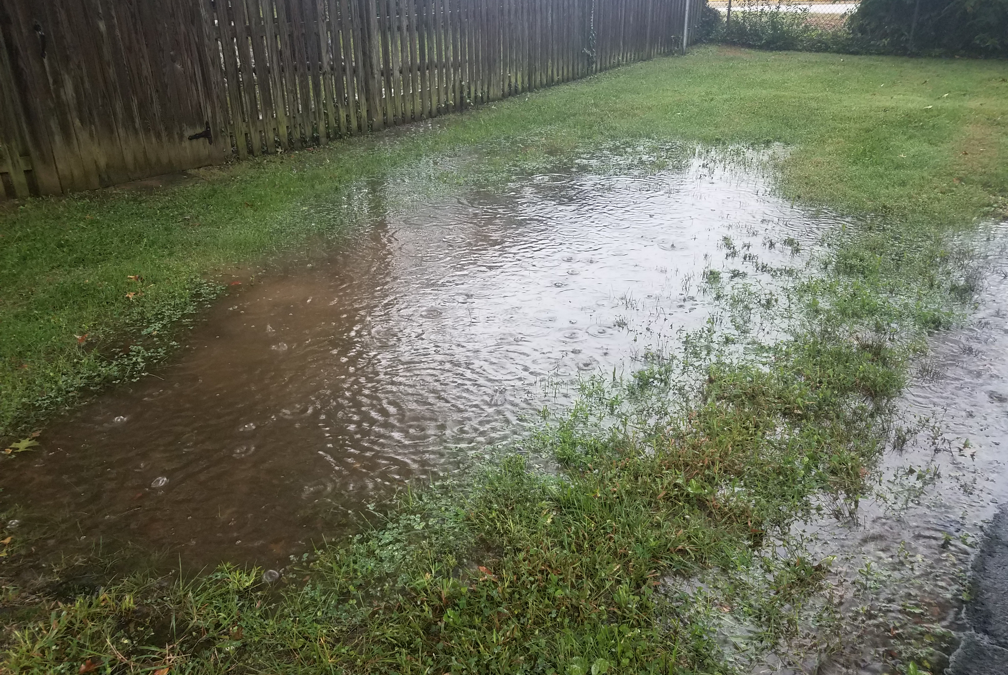 How to Prevent Your Home from Flooding: Tips from a Flood Control Company in Skokie, Illinois