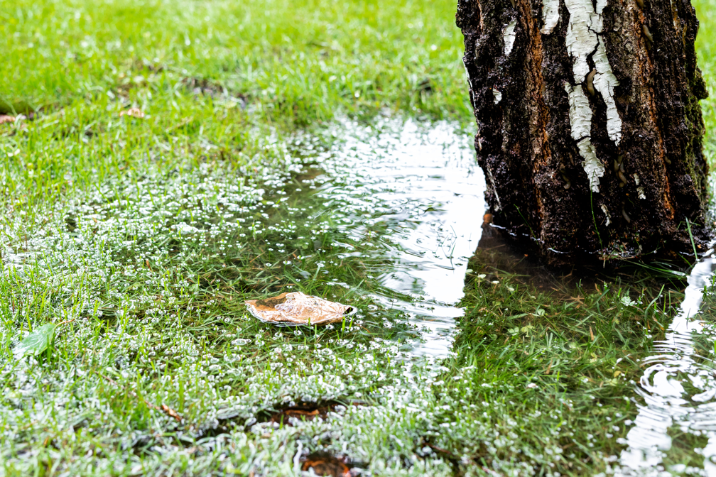 Broken Sewer Line Repair in Winnetka, Illinois