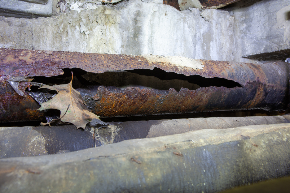 Sewer Line Rodding Contractor in Park Ridge, Illinois