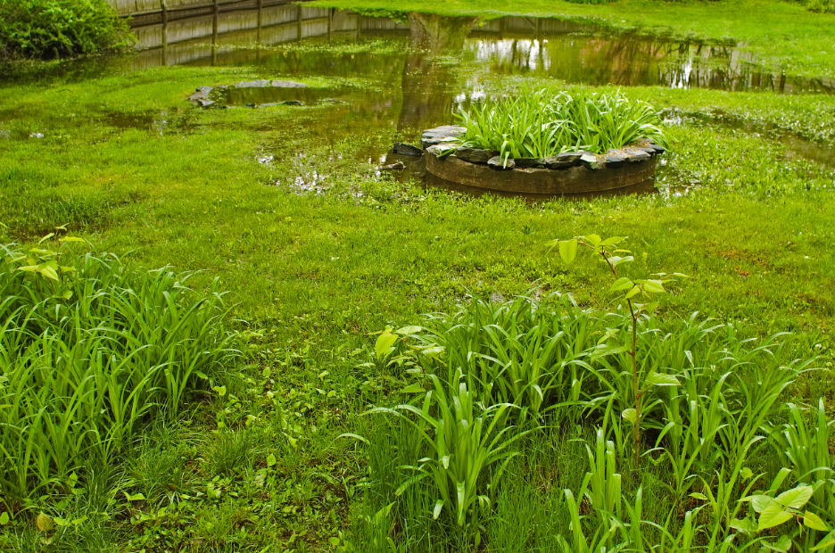 Do I Really Need a Backup Sump Pump? A Backup Sump Pump Installer Company in Mount Prospect, Illinois Explains