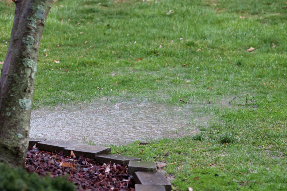What Happens If My Main Sump Pump Fails? Insights from a Backup Sump Pump Installer in Park Ridge, Illinois